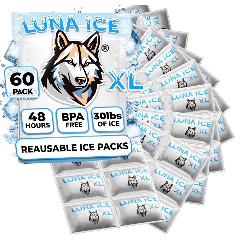 Dry Ice Packs for Shipping XL - Long Lasting ice Packs - 24+ Hour Freeze Power - BPA Free - 60 Pack Bulk 30 lb - Hielo Seco - Reusable Gel Bricks for Food