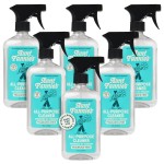 Aunt Fannie\'s All Purpose Household Cleaner, Multi-Surface Spray Cleaner, Powered by Vinegar for Kitchen, Bath, Windows and Countertops, Fragrance Free, Pack of 6