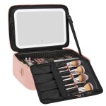 Relavel Makeup Bag with LED Mirror, 16.2 inches Large Professional Makeup Case for Makeup Artists, Travel Portable Cosmetic Organizer Storage Box, Vanity Case with 3 Colors Lighted Mirror, Pink