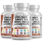 Clean Nutraceuticals Lions Mane 20in1 Mushroom Supplement with Turkey Tail Reishi Cordyceps Chaga Maitake Meshima Poria Cocos Shiitake Oyster Porcini Enoki - 3Pack
