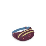 Osprey Daylite Waist Pack, Moody Burgundy