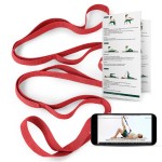 Trideer Stretching Strap Yoga Strap for Physical Therapy, 10 Loops Yoga Straps for Stretching, Non-Elastic Stretch Strap for Pilates, Exercise, Stretch Band for Women & Men