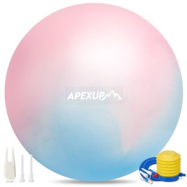 APEXUP Yoga Ball Exercise Ball, Heavy Duty Gym Ball for Fitness, Balance, Core Workout, Physical Therapy (L(23~26) 65cm, Blue Pink)