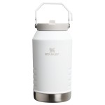 Stanley IceFlow 2.0 Flip Straw Jug with Handle 96 oz | Twist On Lid and Flip Up Straw | Leakproof for Travel and Sports | Insulated Stainless Steel | BPA-Free | Frost