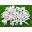 NorthPointe 1  Plastic Golf Tees - Short Tees for Irons, Par Threes, Hybrids, and Driving Range - Pack of 50 or 100 Bulk in High Visibility White Durable Plastic (50, Combo Shamrock & Flag, 1 1/2)