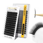 NAGARAKU Wet Camellia Eyelash Extension, Individual Lashes 3 Multi-length Fans Premium Matte Black Natural Pre-Glued Classic Lash Extensions Mega Volume Beauty Salon Supplies - 0.07B 10-11-12