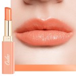 Oulac Shine Orange Lipstick for Women, 2 in 1 Glossy Coral Orange Tinted Lip Balm, Hydrating Lipstick for Dry Lips, Moisture Shine Juicy Finish Vegan 2.2g/0.07oz (21)