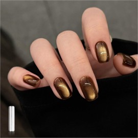 GAOY Jelly Brown Cat Eye Gel Nail Polish, 16ml Glitter Holographic Nail Polish with Magnet, Reflective Translucent UV Gel, 3092 Cocoa Shine