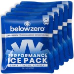 Below Zero Prefilled Reusable Ice Packs for Coolers | Long Lasting Freezer Ice Blocks for Camping, Lunch Bags & More | 48 Hour Cooler Ice Pack Technology | Small 7.5x6.5 (5-Pack)