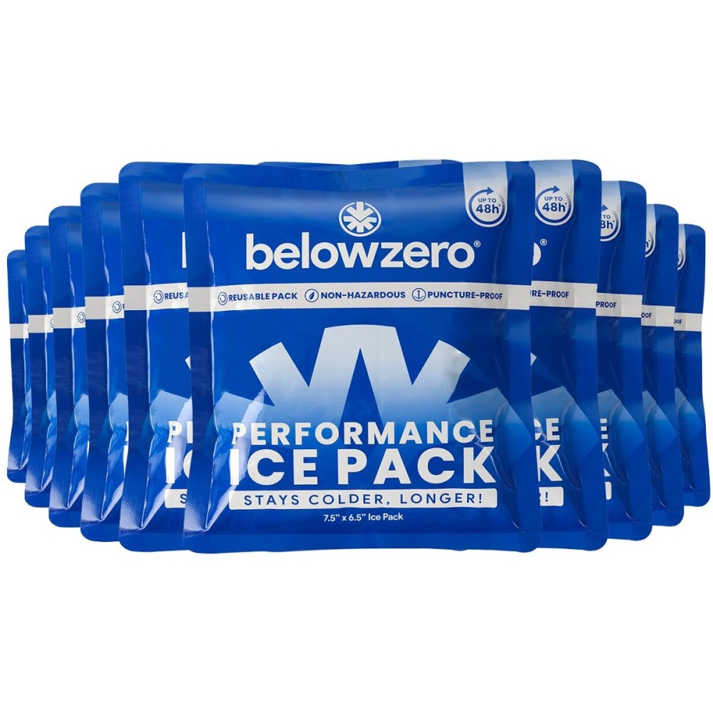 Below Zero Prefilled Reusable Ice Packs for Coolers | Long Lasting Freezer Ice Blocks for Camping, Lunch Bags & More | 48 Hour Cooler Ice Pack Technology | Small 7.5x6.5 (10-Pack)