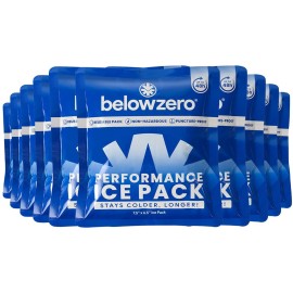 Below Zero Prefilled Reusable Ice Packs for Coolers | Long Lasting Freezer Ice Blocks for Camping, Lunch Bags & More | 48 Hour Cooler Ice Pack Technology | Small 7.5x6.5 (10-Pack)