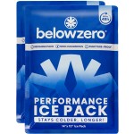 Below Zero Prefilled Reusable Ice Packs for Coolers | Long Lasting Freezer Ice Blocks for Camping, Lunch Bags & More | 48 Hour Cooler Ice Pack Technology | Large 14x10 (2-Pack)