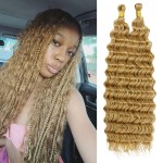 Eerya Long Curly Braiding Hair 20 Inch 2 Packs Deep Ocean Wave Crochet Hair for Black Women Deep Wave Braiding Hair for Boho Braids20 inch, 27