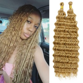 Eerya Long Curly Braiding Hair 20 Inch 2 Packs Deep Ocean Wave Crochet Hair for Black Women Deep Wave Braiding Hair for Boho Braids20 inch, 27