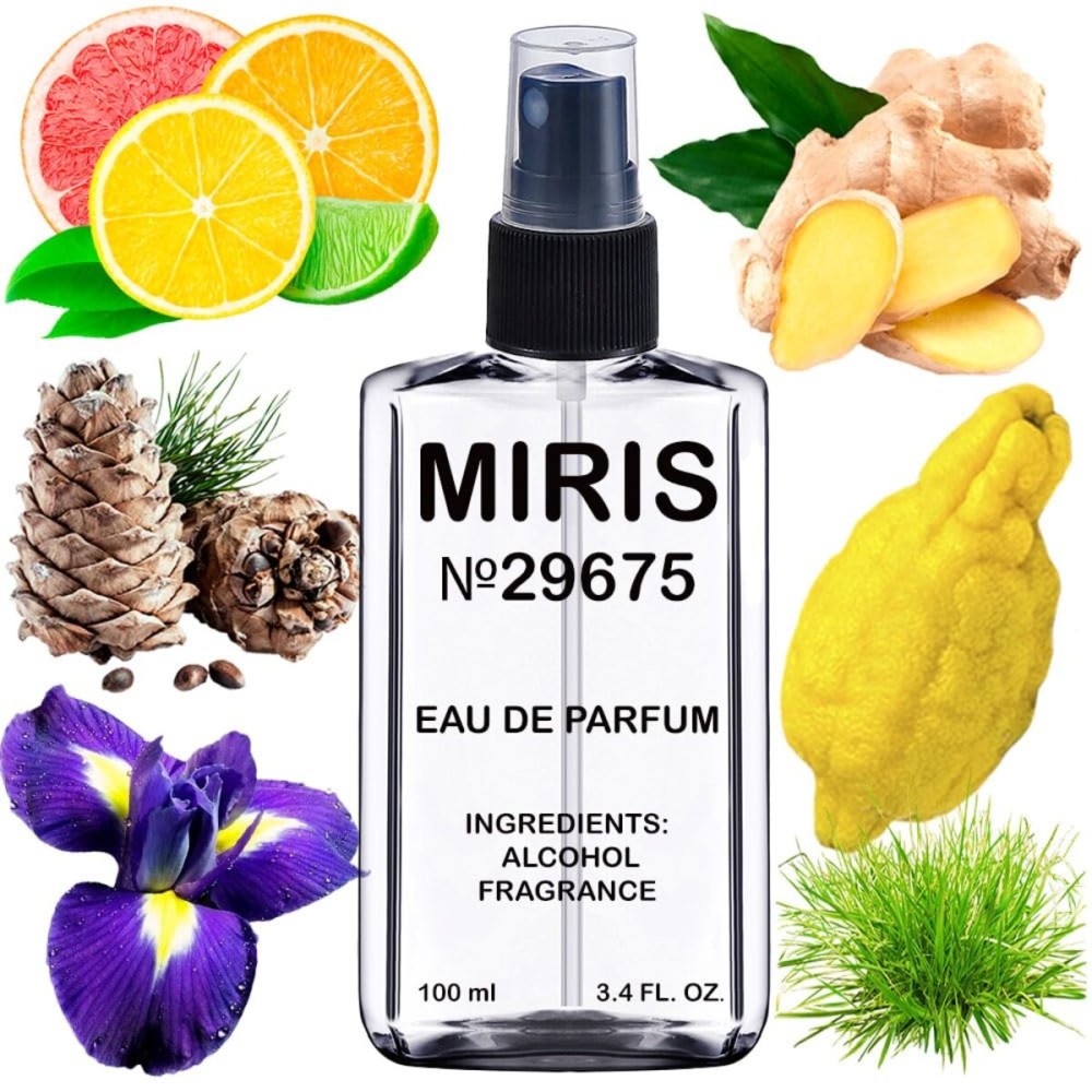 MIRIS No. 29675, Inspired by Di Homme Sport 2012, Long-Lasting Eau de Parfum for Men, Spray 3.4 Fl Oz / 100 ml