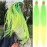 Ombre NeonGreen-Yellow Pre Stretched Braiding Hair 30 Inch 2 Packs Professional Yaki Texture Festival Braids Box Crochet Twist Hair Extensions