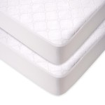 American Baby Company 2 Pack Waterproof Fitted Mini Crib Mattress Protector 38 x 24 - Quilted, Noiseless, Ultra-Soft & Breathable Pack n Play and Mini Crib Mattress Cover