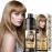 Joyful Young Natural Hair Dye Shampoo 3 IN 1, Gray Hair Coverage, Vegan, Ammonia-Free & Paraben-Free Hair Coloring Shampoo for Women & Men, Beard Dye for Men, Nourishing Gentle (ASH BLONDE)