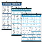 Palace Learning QuickFit 3 Pack - Dumbbell Workouts + Bodyweight Exercises + Stretching Routine Poster Set - Set of 3 Workout Charts (Laminated WITH PLASTIC FRAME, 18 x 24)
