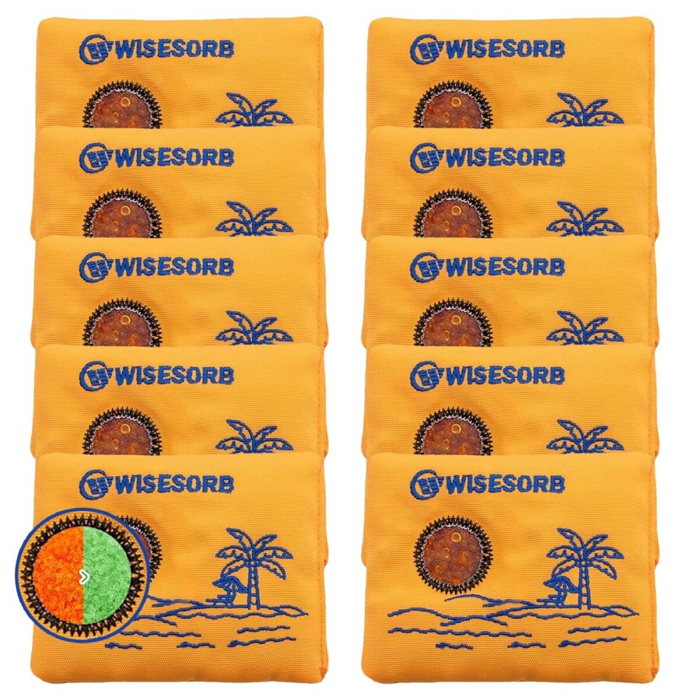 Wisesorb 100gx10pcs Rechargeable Desiccant Packs for Storage, Reusable Dehumidifier Bags Visible Color Indicating Silica Gel Packets Moisture Absorbers for Safe Closet 3D Filaments Electronics Camera