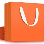 EUSOAR Large Gift Bags, 20pcs 12.5x4.5x11 Orange Kraft Paper Shopping Gift Wrapping Bags, Reusable Merchandise Retail Bag for Small Business Grocery Boutique Wedding Bridal Party Favor