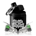 Eargasm High Fidelity Earplugs: When We were Young Edition - Noise Reducing Ear-Plugs for Hearing Protection at Music Festivals, Concerts, Raves, Live Events, Loud Environments and More