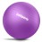 GalSports Anti-Burst Slip Resistant Stability Ball - Swiss Ball for Home Gym & Physical Therapy (Purple, L(26ines/65cm))