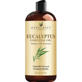 Handcraft Blends Eucalyptus Essential Oil - Huge 16 Fl Oz - for Candle Making, Soap Making, Diffusers, and Aromatherapy