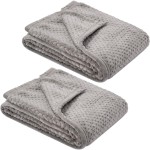 Fuzzy Blanket or Fluffy Blanket for Baby, Soft Warm Cozy Coral Fleece Toddler, Infant or Newborn Receiving Blanket for Crib, Stroller, Travel, Decorative, 3040, Flint Gray+Flint Gray