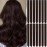 LADYAMZ Colored Hair Extensions 14 PCS, 20 In Dream Rainbow Clip in Hair Extensions Party Highlights, Colorful Long Straight Synthetic Hairpieces for Girls Women Kids Christmas New Year Gift(Brown)