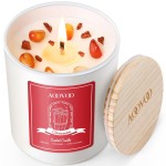 AOOVOO Cinnamon Scented Candles for Women - Aromatherapy Candle with Crystals Inside, 10oz Soy Candles for Home Scented, Birthday Gifts Christmas Candle for Women Mom