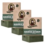 Dr. Squatch Natural Bar Soap for Men - Cold Process Soap with No Harsh Chemicals - Sierra Storm (5 oz, 3-Pack)