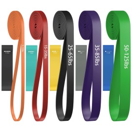 Resistance Bands, Pull Up Assist Bands - Workout Bands, Eexercise Bands for Working Out, Fitness, Training, Physical Therapy for Men Women - Purple