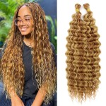 Eerya Long Curly Braiding Hair 18 Inch 2 Packs Deep Ocean Wave Crochet Hair for Black Women Deep Wave Braiding Hair for Boho Braids (18 inch, P30/27)