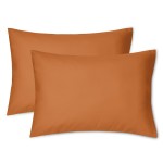 EXQ Home Toddler Pillowcases Zippered 13x18 Travel Pillow Case Set of 2, Small Pillow Case Fits Baby Pillow Sized 12x16, 13x18, Kids Pillowcases 2 Pack Machine Washable (Umber)