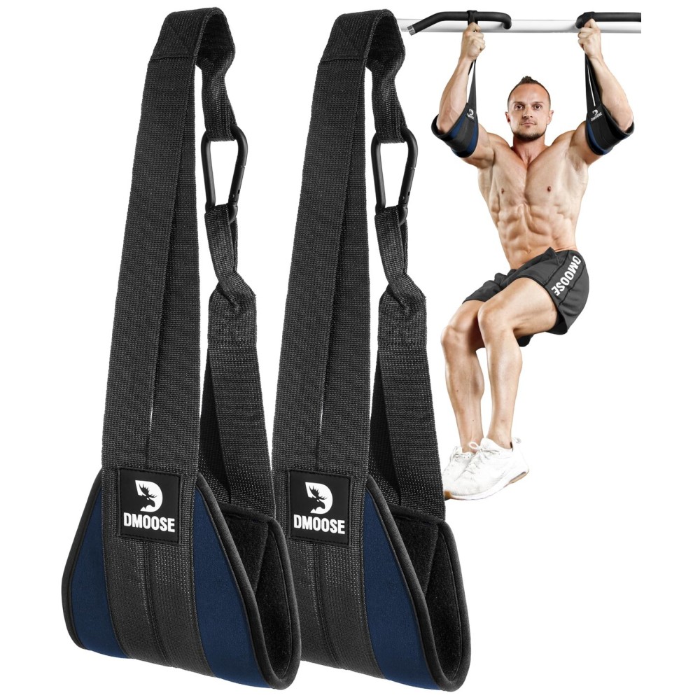DMoose Fitness Hanging Ab Straps for Pull Up Bar & Core Strength Training - Exercise Straps for Ab Swing & Leg Raises, Hang Bar Strap with 2 Steel Carabiners - Abs Equipment for Home & Gym (Navy Blue)