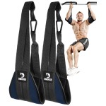 DMoose Fitness Hanging Ab Straps for Pull Up Bar & Core Strength Training - Exercise Straps for Ab Swing & Leg Raises, Hang Bar Strap with 2 Steel Carabiners - Abs Equipment for Home & Gym (Navy Blue)