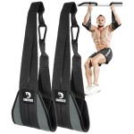 DMoose Fitness Hanging Ab Straps for Pull Up Bar & Core Strength Training - Exercise Straps for Ab Swing & Leg Raises, Hang Bar Strap with 2 Steel Carabiners - Abs Equipment for Home & Gym (Dark Grey)
