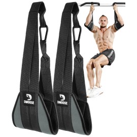 DMoose Fitness Hanging Ab Straps for Pull Up Bar & Core Strength Training - Exercise Straps for Ab Swing & Leg Raises, Hang Bar Strap with 2 Steel Carabiners - Abs Equipment for Home & Gym (Dark Grey)