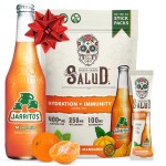 Salud x Jarritos 2-in-1 Hydration Packets + Immunity Electrolytes Powder, Mandarin - Agua Fresca Drink Mix, Elderberry, Dairy & Soy Free, Non-GMO, Gluten Free, Vegan, 1g Sugar (15 Servings)