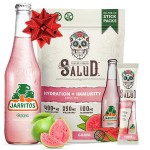 Salud x Jarritos 2-in-1 Hydration Packets + Immunity Electrolytes Powder, Guava - Agua Fresca Drink Mix, Elderberry, Dairy & Soy Free, Non-GMO, Gluten Free, Vegan, 1g Sugar (15 Servings)