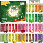 Yopela 42 Pack Natural Lip Balm Bulk with Vitamin E and Coconut Oil - Moisturizing, Soothing, and Repairing Dry and Chapped Lips Valentine\'s Gift - 14 Flavors - Non-GMO