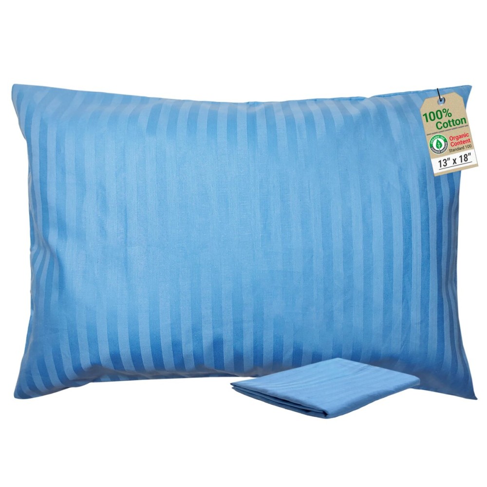ZPECC Toddler Pillow with Pillowcase 2 Pack - 13x18 Organic Cotton Hypoallergenic Kids Pillow, Baby Essentials for Travel Crib Daycare Stroller (Intended for Age 2 and up) Blue Stripe