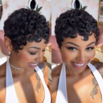 VRZ Short Pixie Cut Wig Human Hair Glueless Pixie Cut Wigs for Black Women Natural Black Color for Daily Use Full Machine Made Wig No Glue Short Curly Human Hair Wig