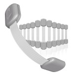 Baby Proofing Child Safety Locks (12 Pack) by Skyla Homes - The Safest, Quickest and Easiest 3M Adhesive Cabinet Latches, No Screws & Magnets, Multi-Purpose for Furniture, Kitchen, Ovens, Toilet Seats