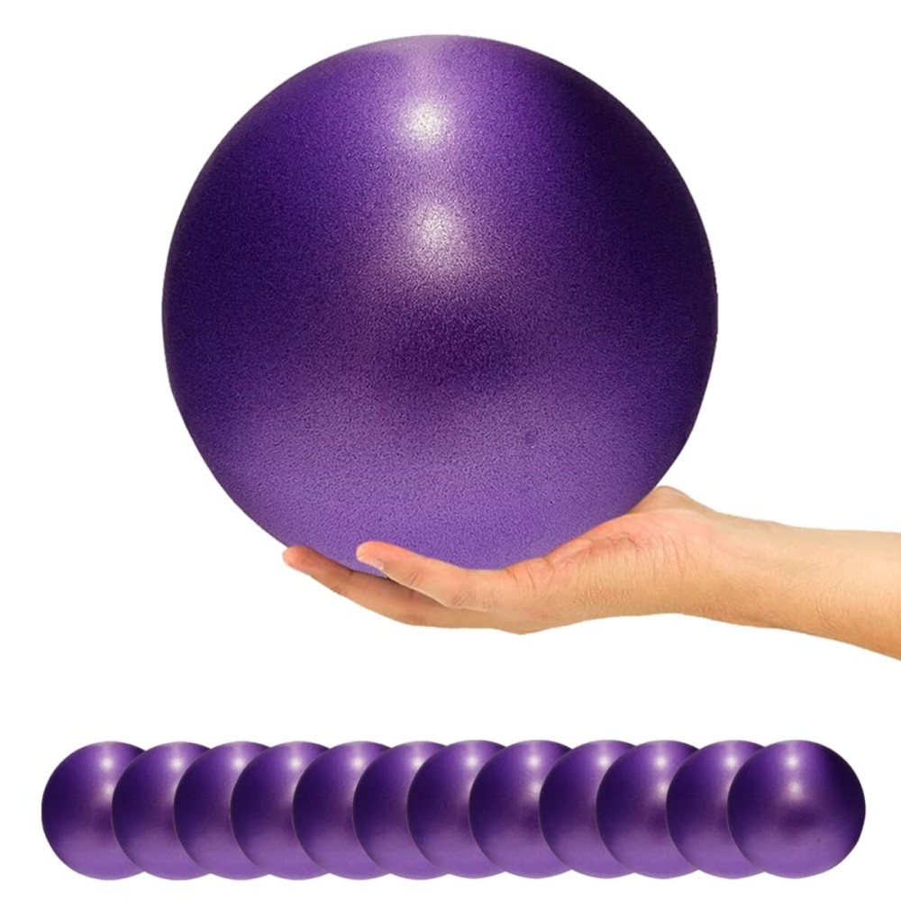 ElwynnLane 9 Inch Exercise Pilates Ball Mini Exercise Barre Ball for Yoga,Stability Exercise Training Gym Anti Burst and Slip Resistant Balls Physical Therapy Improves Balance, Core Strength