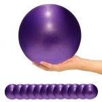 ElwynnLane 9 Inch Exercise Pilates Ball Mini Exercise Barre Ball for Yoga,Stability Exercise Training Gym Anti Burst and Slip Resistant Balls Physical Therapy Improves Balance, Core Strength