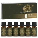 Soulorigin Hotel Diffuser Oils Gift Set, Hotel Collection Fragrance Oil, Luxury Scent Essential Oils Set for Diffuser Home, Inspired by The Four Season and More Scents, Gift for Women and Men