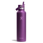 Hydro Flask Water Bottle - Insulated Stainless Steel - Straw Lid, Non Spill, Leakproof in 24 Oz Beachplum Purple