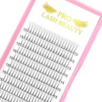 Premade Volume Eyelash Extensions 3D-D-0.07-12 Short Stem Premade Fans Eyelash Extensions 9 to 20 mm Pre made Lash Fans 3D 5D 7D Volume Lash Extensions .07 .10 C D Curl(3D-D-0.07,12mm)